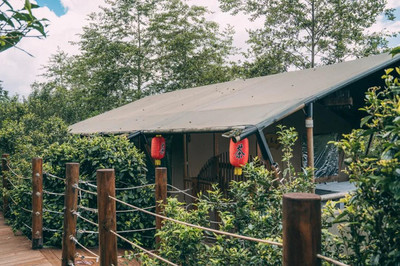 康养之旅新体验 探访国家AAA级景区腾冲高黎贡山茶博园的中医诊所